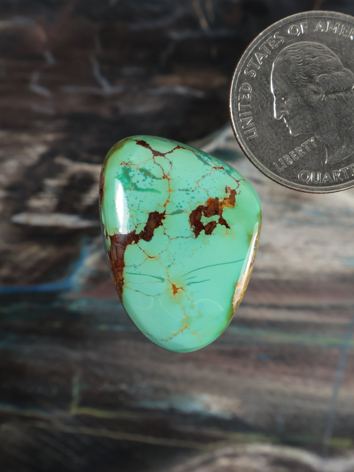 Oval turquoise cabochon gemstone with brown matrix veining, polished