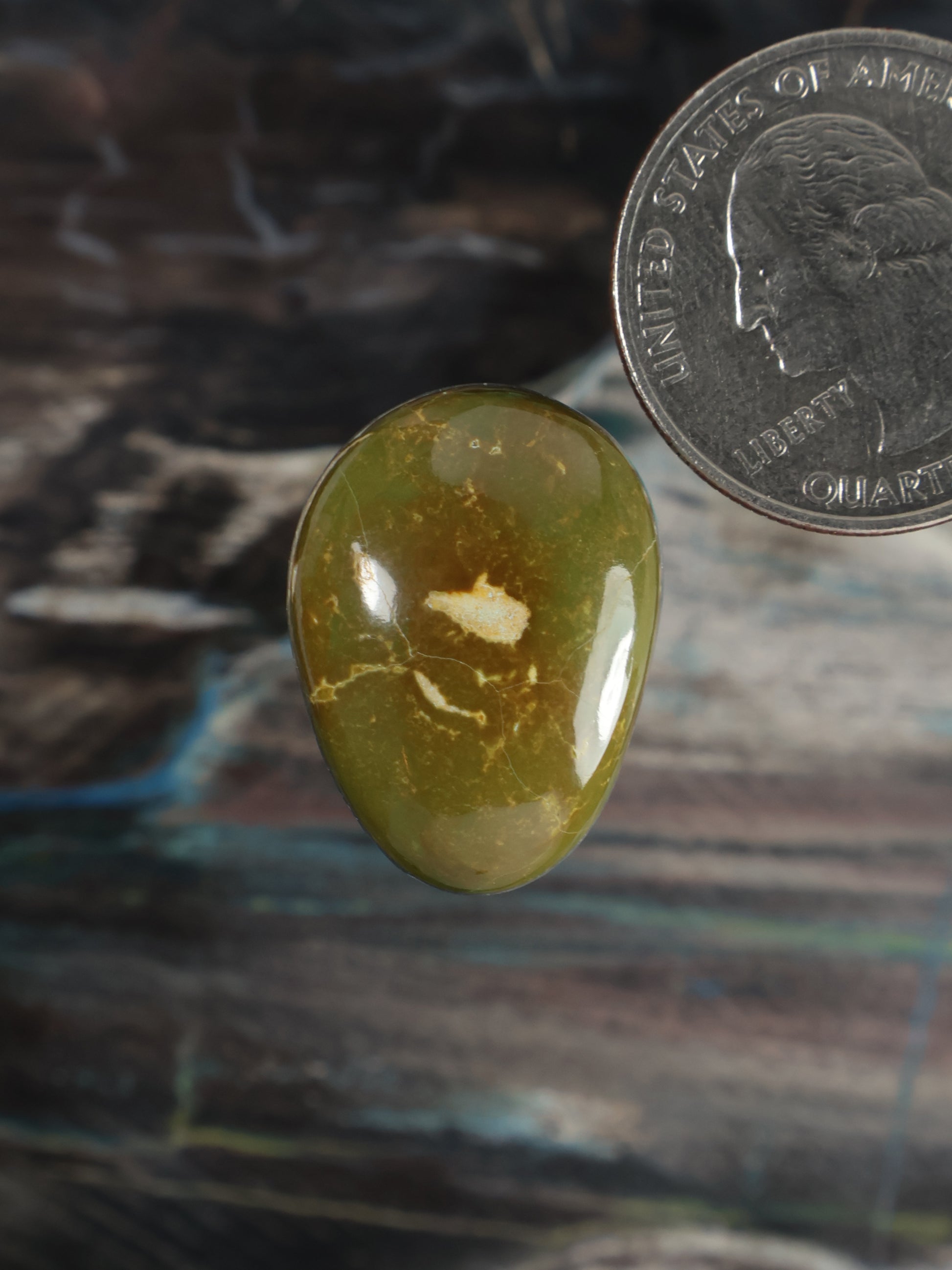 Oval green cabochon gemstone with glossy polished surface and veined pattern