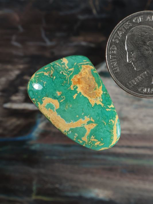 Oval turquoise cabochon gemstone at angle, gold-brown matrix pattern