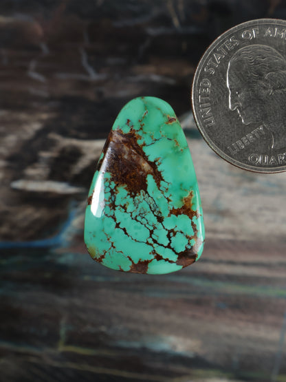 Turquoise cabochon gemstone with brown web-like matrix veining, teardrop shape
