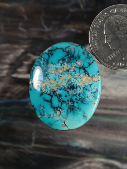 Turquoise cabochon oval gemstone with webbed black and tan matrix, polished surface