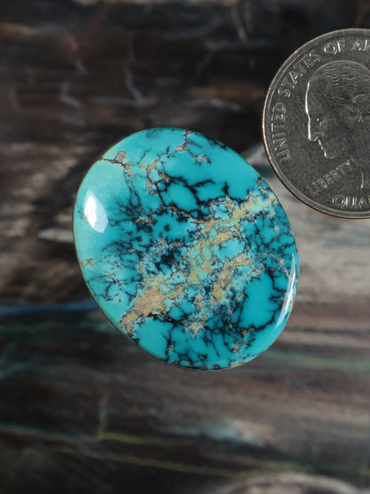 Turquoise oval cabochon gemstone with dark webbing and tan specks, glossy polished finish