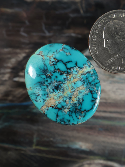 Turquoise oval cabochon gemstone with dark webbing and tan specks, glossy polished finish