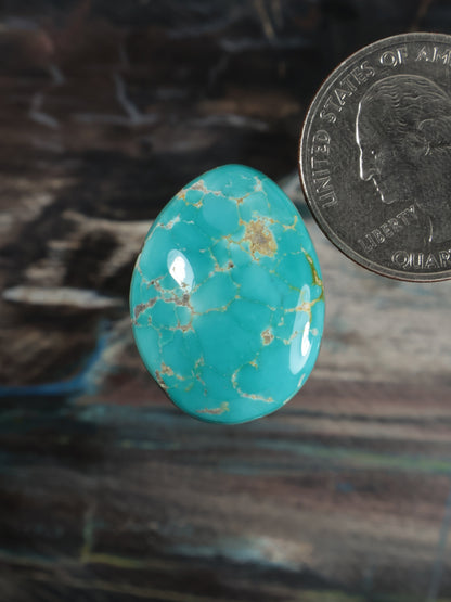 Turquoise cabochon gemstone with gold matrix veining, oval teardrop shape