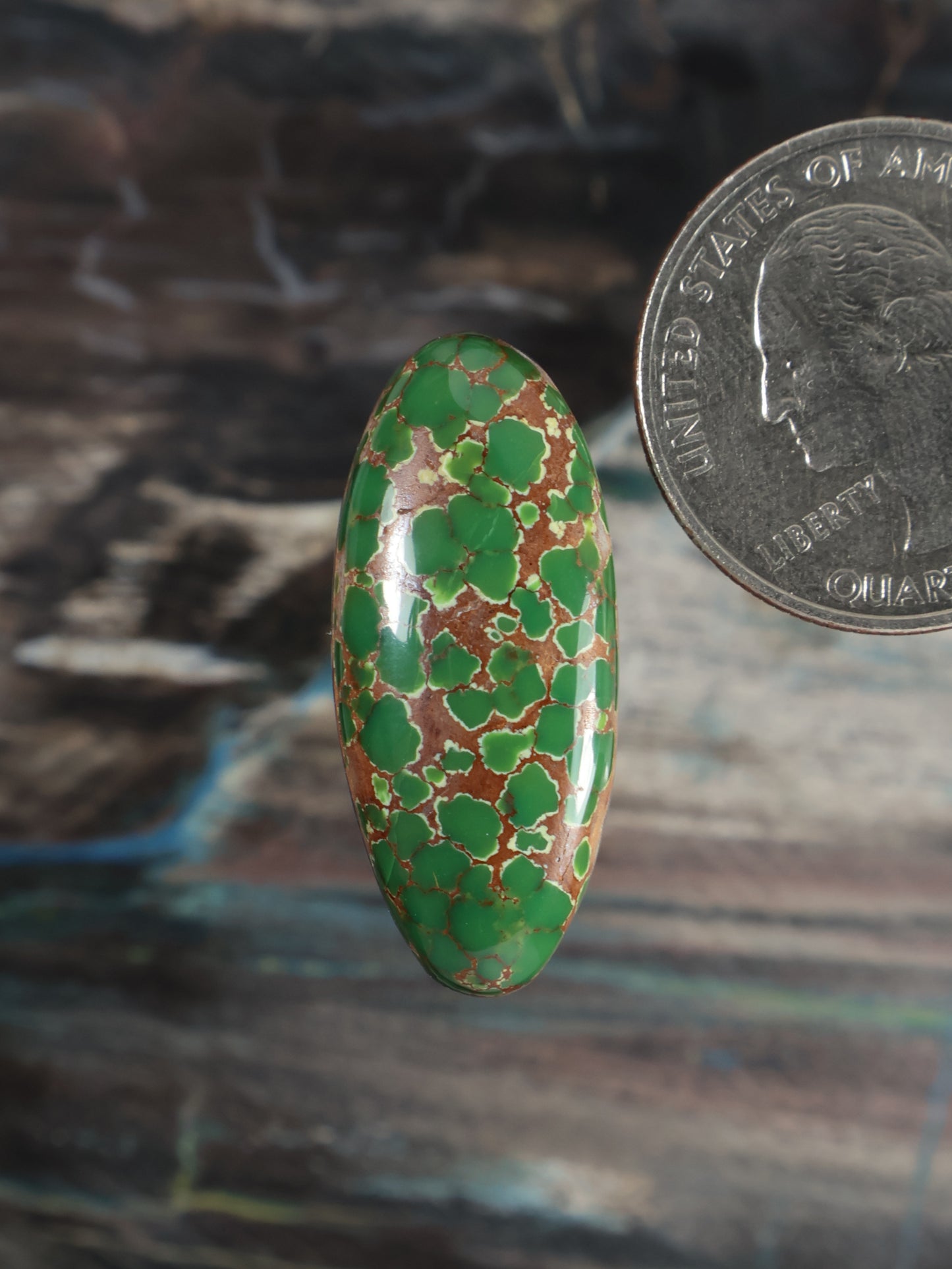 Carico Lake turquoise cabochon oval green with webbed matrix, polished surface