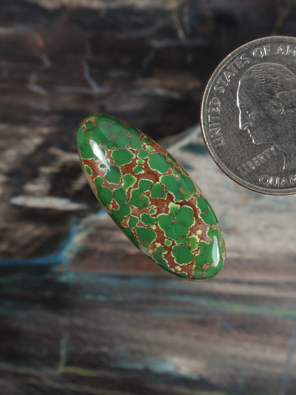 Carico Lake turquoise cabochon oval green angled view, polished cabochon with webbed matrix