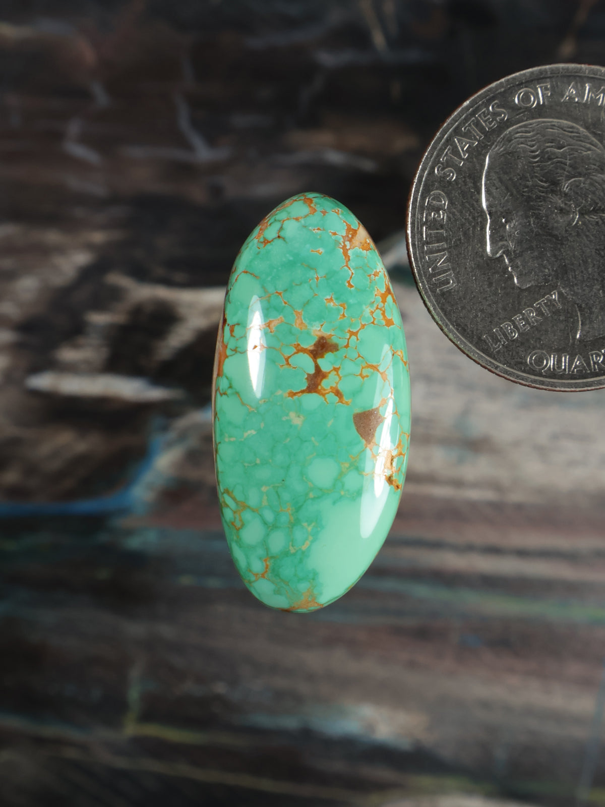 Oval turquoise cabochon with gold matrix veining, polished domed surface
