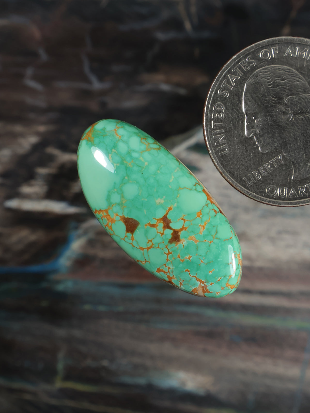 Turquoise oval cabochon with gold veining, angled view, polished domed surface
