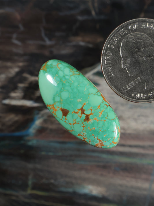 Turquoise oval cabochon with gold veining, angled view, polished domed surface