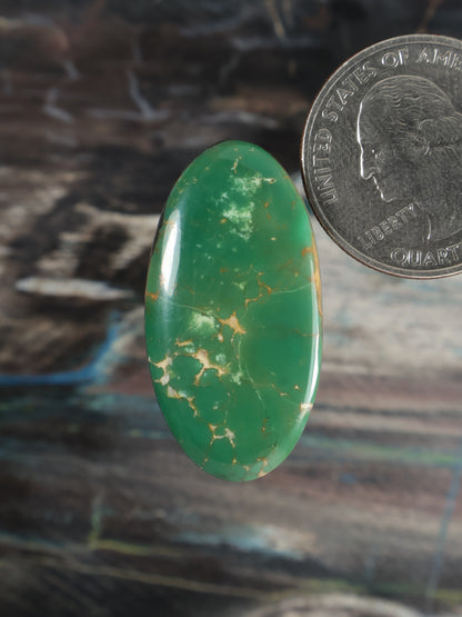 Oval green turquoise cabochon with gold veining, polished gemstone