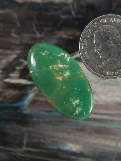Oval green turquoise cabochon with gold veining, polished gemstone, angled view