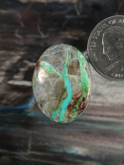 Turquoise cabochon gemstone, oval with green-blue vein patterns in light stone