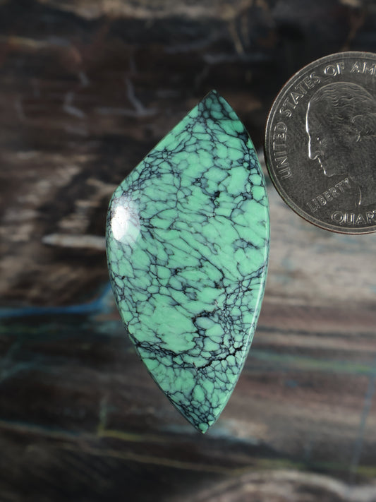 Teardrop variscite cabochon, turquoise-green with dark veining, polished bezel edge