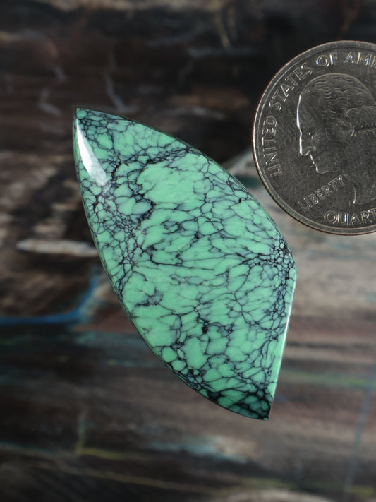 Triangular teardrop variscite cabochon, turquoise-green matrix with dark net veining