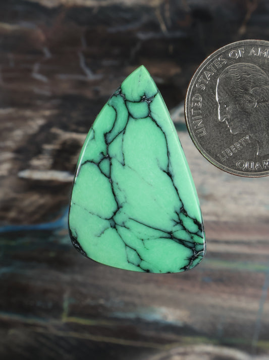 Teardrop variscite cabochon, turquoise-green with black matrix veining