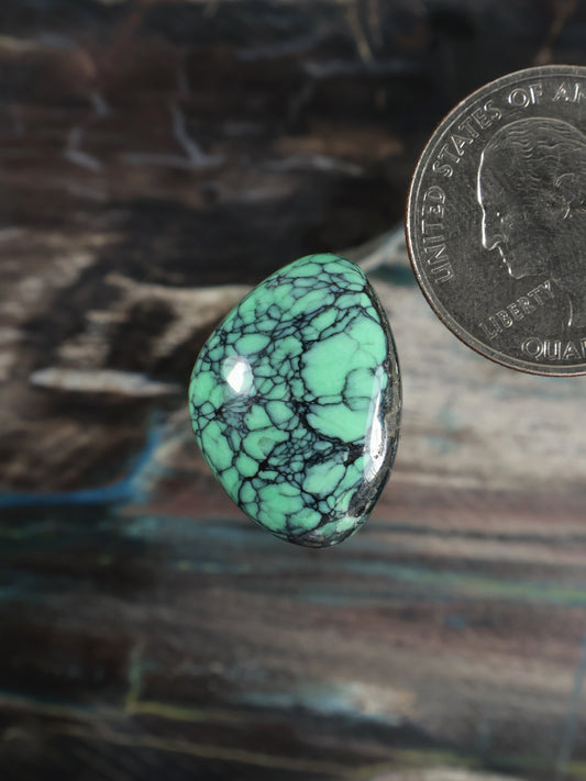 Turquoise-green variscite cabochon, teardrop with black web veining