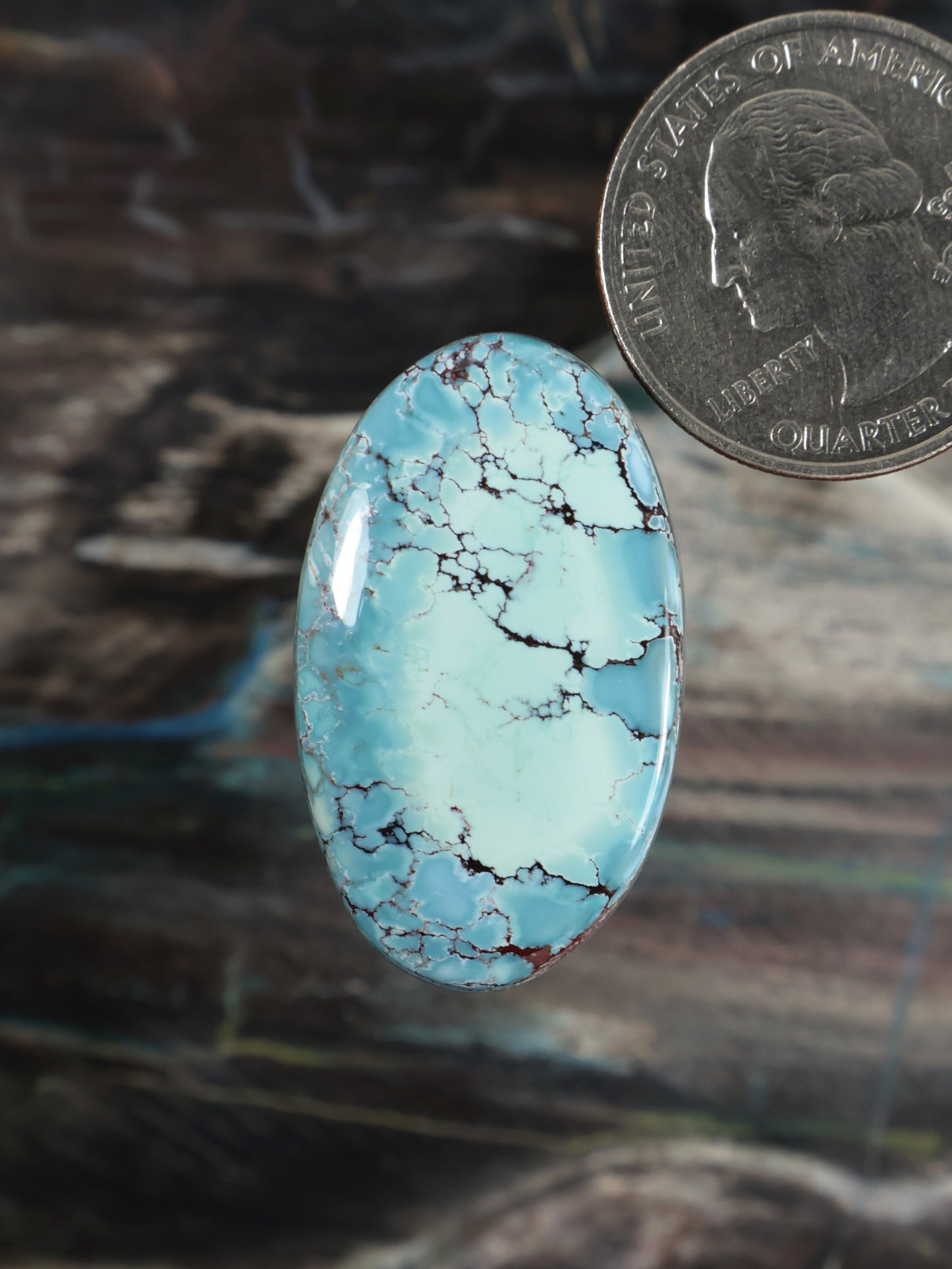 Blue turquoise cabochon with black vein webbing, oval stone
