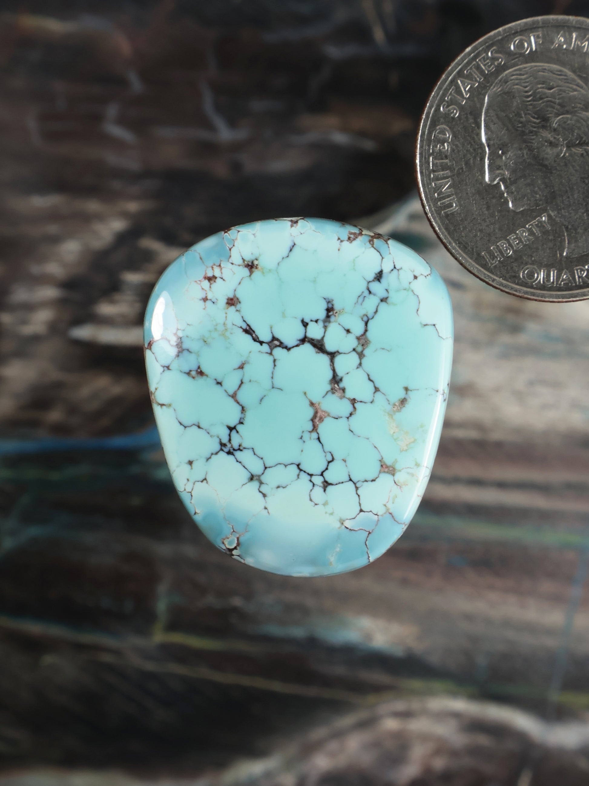 Oval turquoise cabochon stone, light blue with thin brown webbed veining.