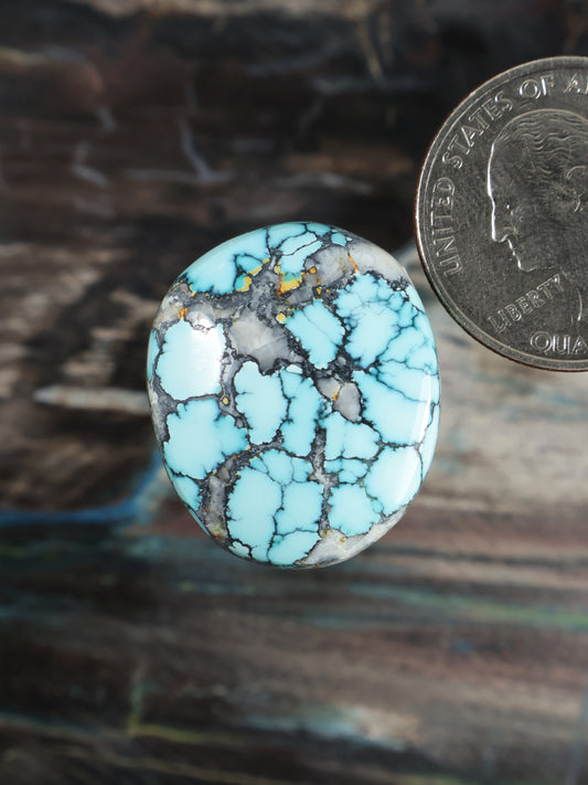 Round turquoise cabochon with black web matrix and gold accents, for jewelry setting