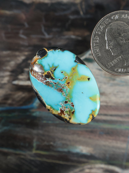 Oval turquoise cabochon with scattered copper-brown matrix inclusions, dark rim