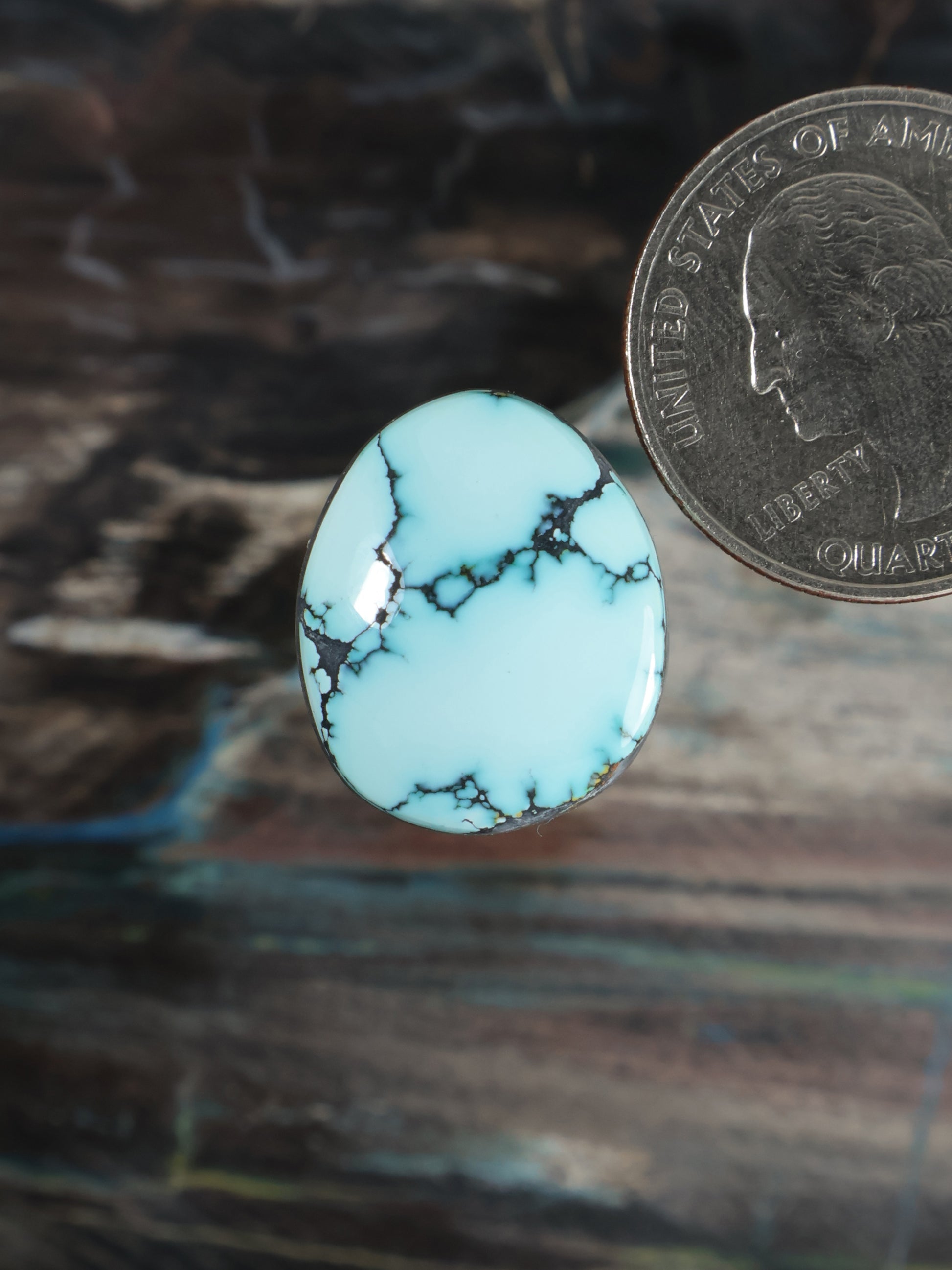 Oval turquoise cabochon gemstone with black web matrix pattern