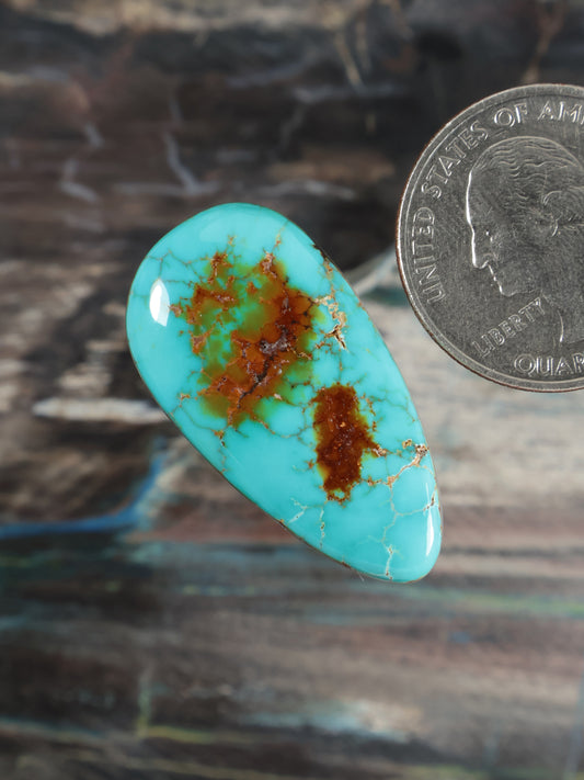 Turquoise oval cabochon with brown matrix webbing and curved polished face