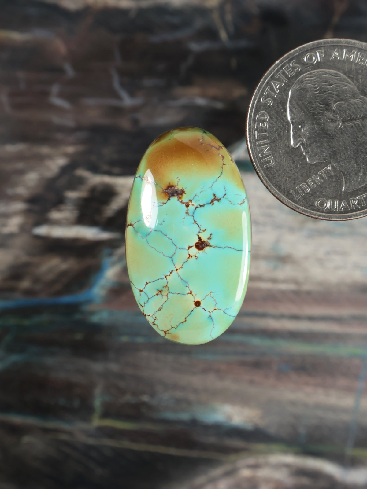 Turquoise cabochon gemstone, oval with yellow-green base and spiderweb matrix