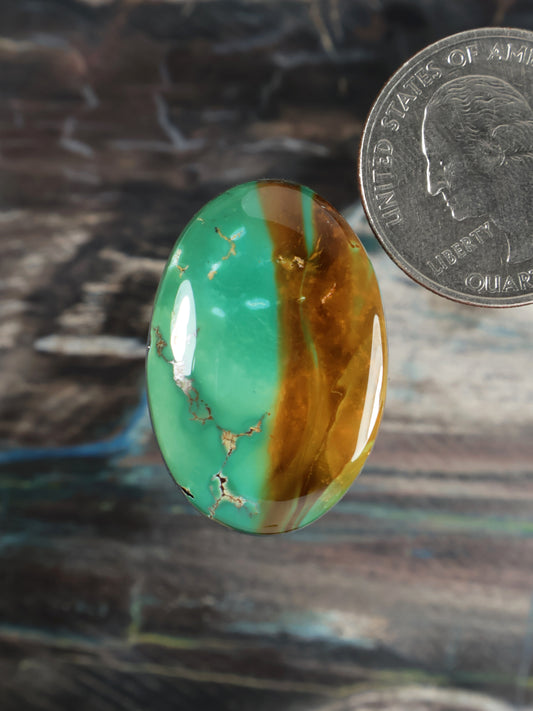 Oval turquoise cabochon gemstone with green and golden-brown matrix, polished dome
