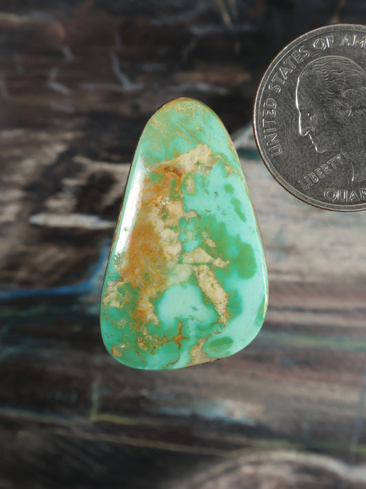 Turquoise cabochon gemstone, teardrop oval with green and gold matrix veins.
