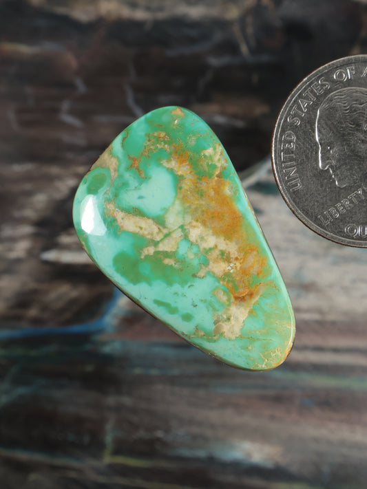 Turquoise cabochon gemstone, angled teardrop oval with glossy face and tan matrix.