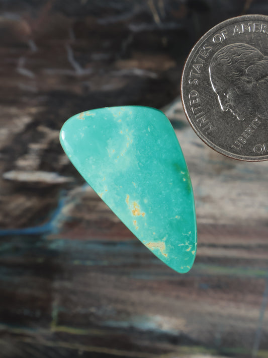 Turquoise cabochon gemstone with triangular teardrop shape and polished smooth surface