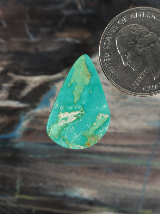 Turquoise cabochon gemstone teardrop with green matrix, coin for scale