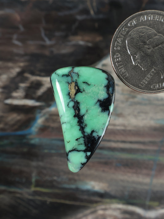 Angel-wing variscite cabochon, bright green with dark matrix veining, polished dome