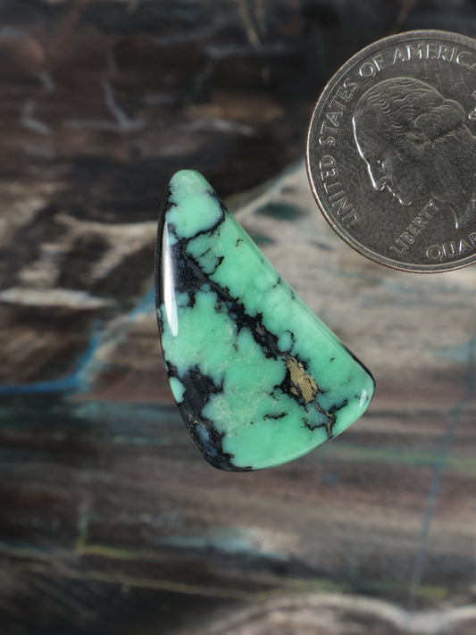 Curved triangular angel-wing variscite cabochon, green with black webbed veining, polished