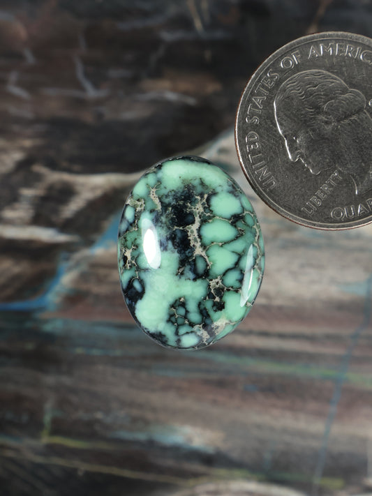 Oval variscite cabochon with mint-green turquoise color and webbed black matrix