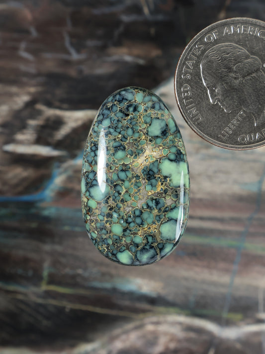 Teardrop variscite cabochon with turquoise blue and gold matrix veining, polished dome
