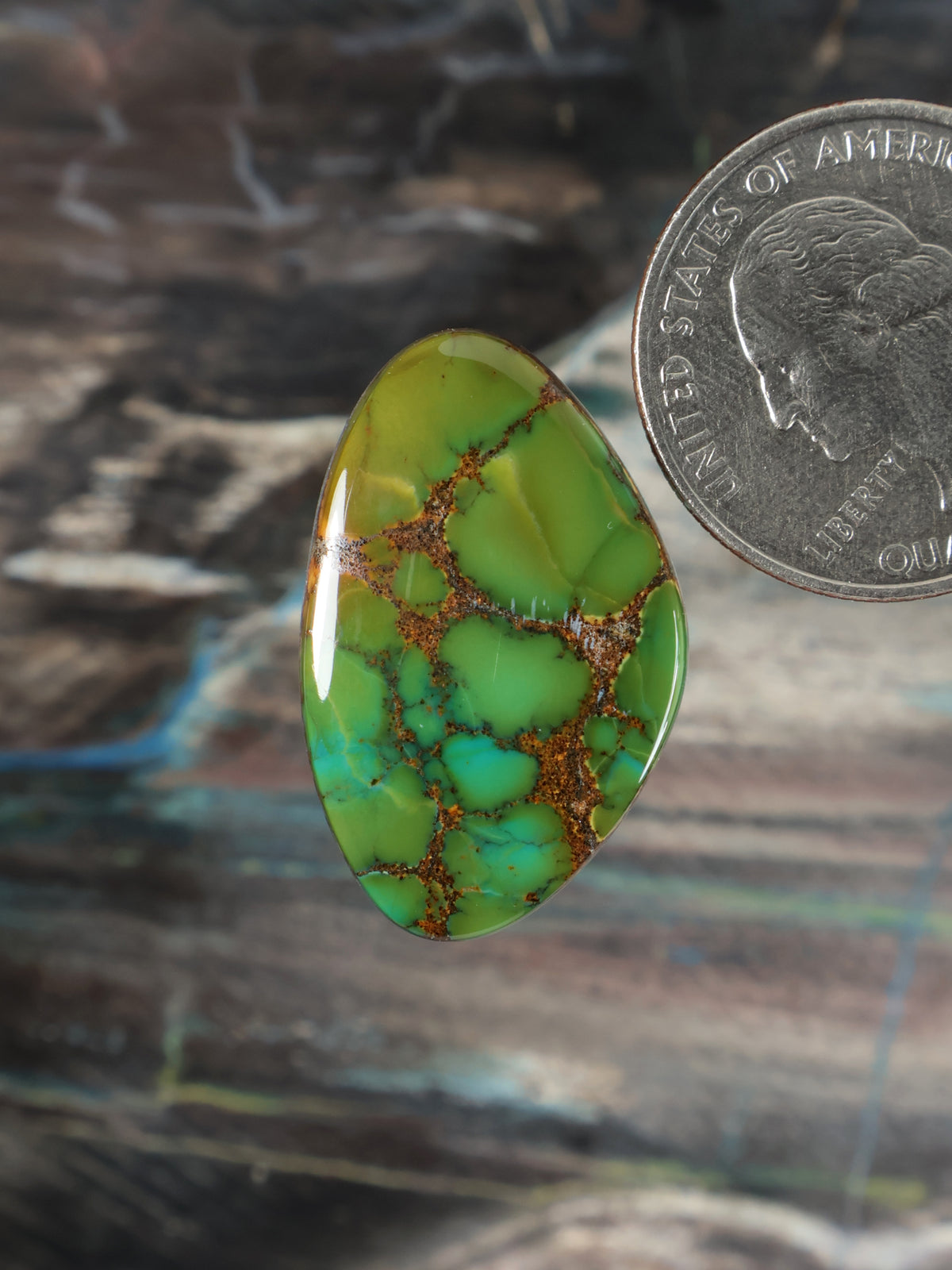 Skyhorse Turquoise Cabochon B130