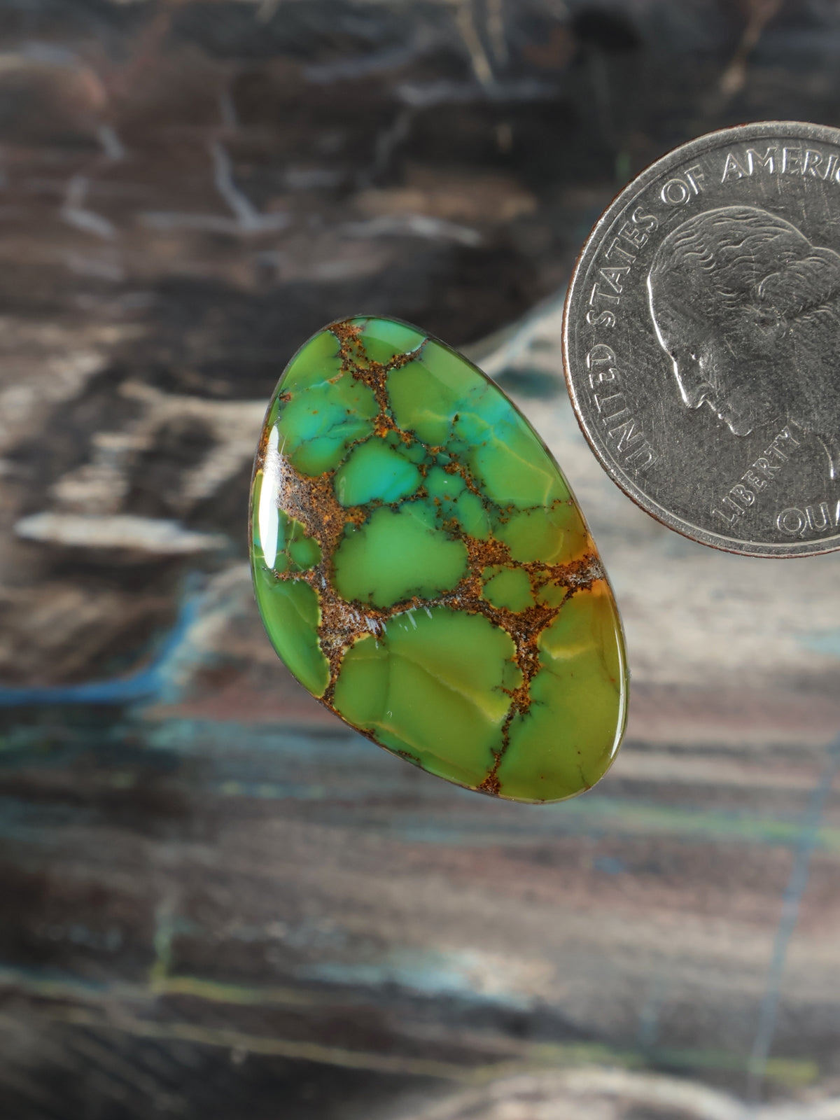 Skyhorse Turquoise Cabochon B130