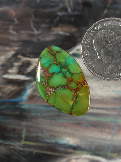 Skyhorse Turquoise Cabochon B130