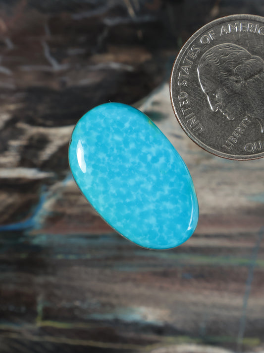 Blue oval cabochon gemstone at angle, glossy domed face with fine speckled texture
