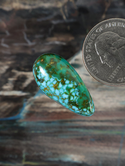 Green turquoise teardrop cabochon with gold matrix inlay, angled close-up
