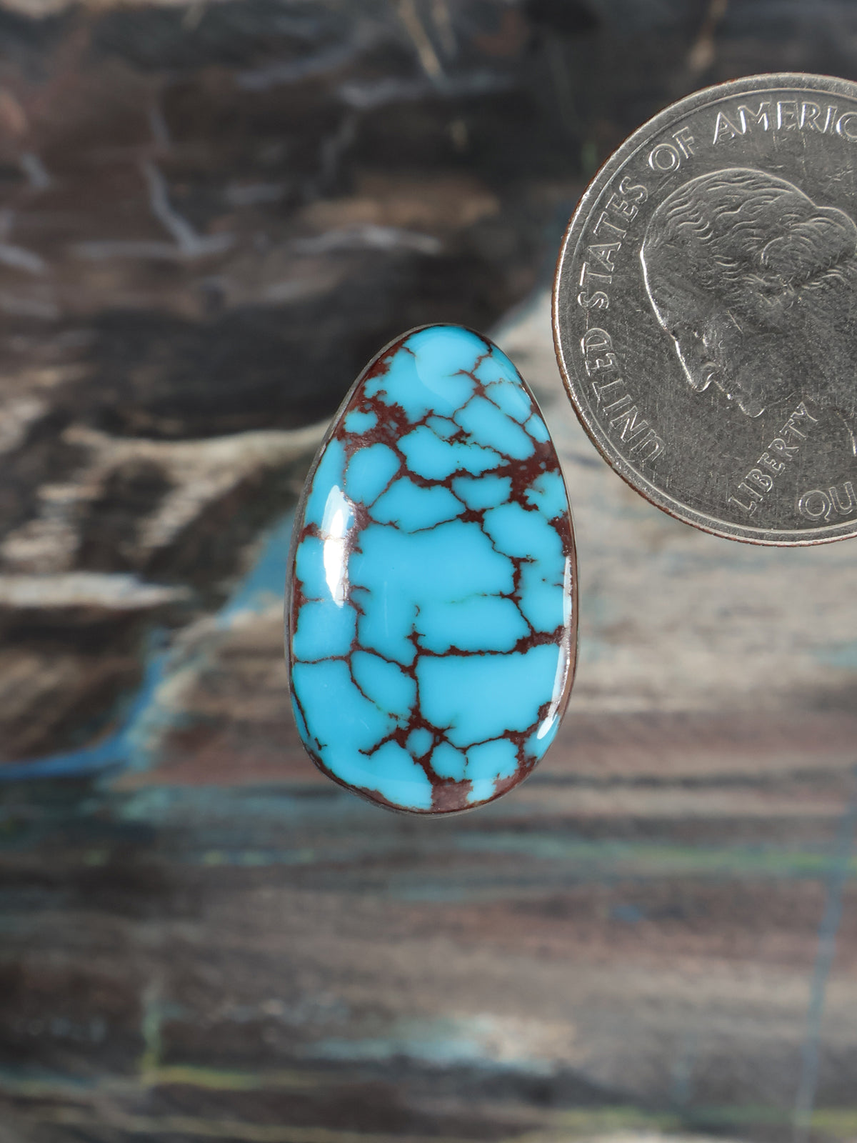 Turquoise blue teardrop cabochon stone with dark veining, polished finish
