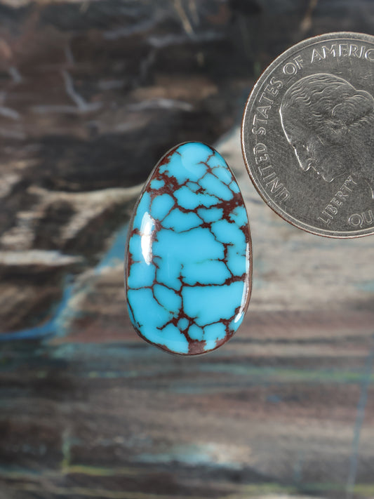 Turquoise blue teardrop cabochon stone with dark veining, polished finish
