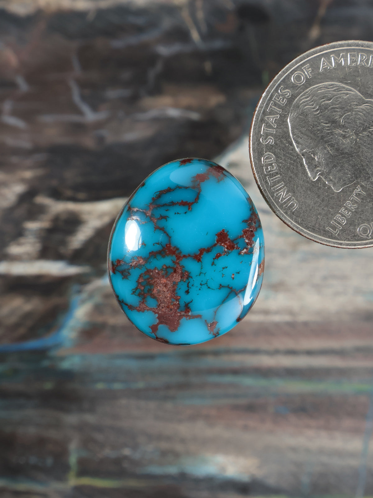 Turquoise blue oval cabochon with dark brown matrix veining, smooth polished face