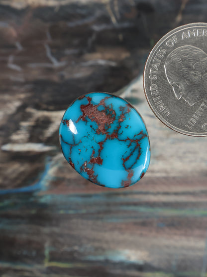 Turquoise blue oval cabochon with dark brown matrix veining, glossy smooth finish