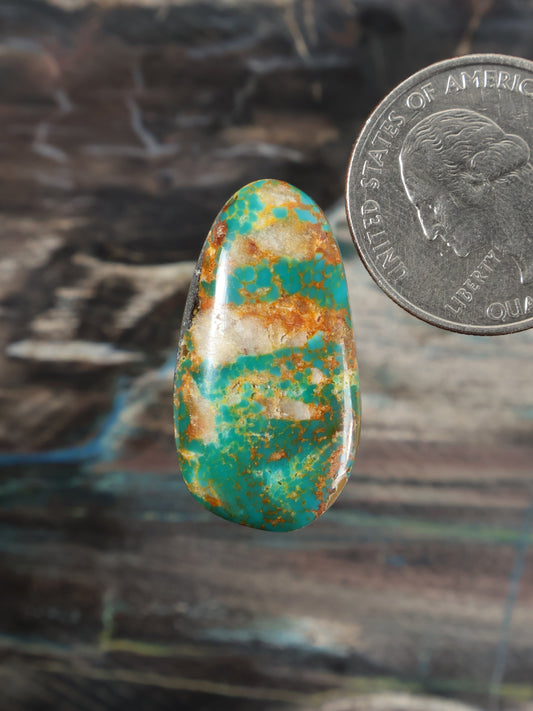 Oval turquoise cabochon gemstone with speckled green and gold matrix