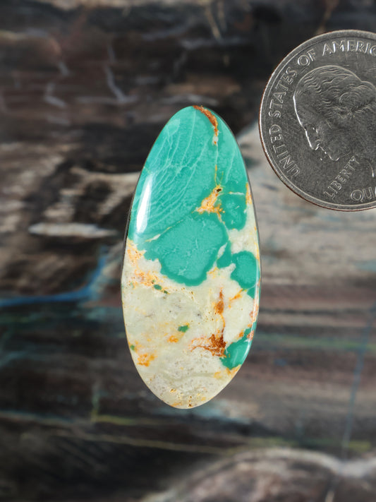 Turquoise oval cabochon with white matrix and golden-brown veining detail