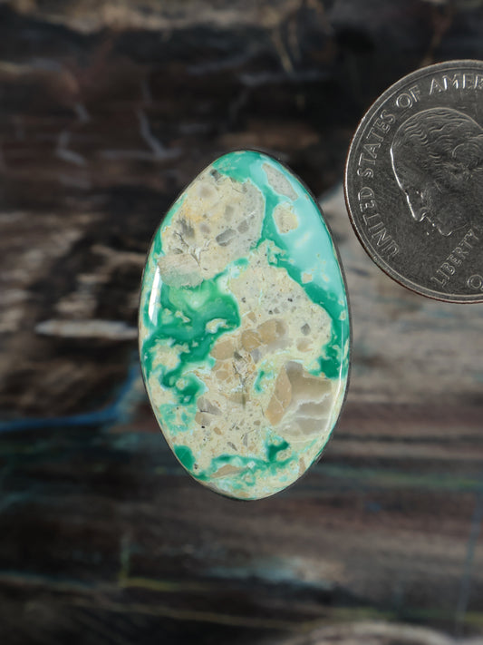 Turquoise oval cabochon gemstone with mottled green and cream pattern