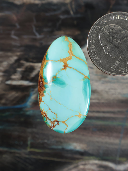 Royston turquoise cabochon, oval with golden matrix veining