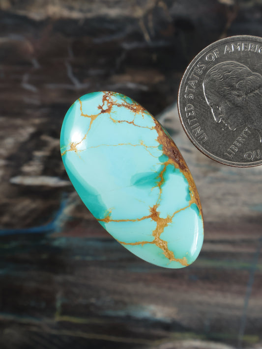 Royston turquoise cabochon, tilted oval with golden network veining